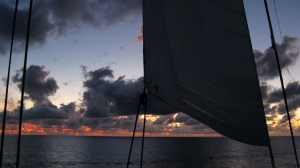 Wind Surf off St Lucia  (photo by RR Koops)